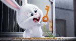 Pets (4) | Kino und Filme | Artikeldienst Online