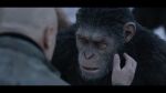 Planet der Affen: Survival (2) | Kino und Filme | Artikeldienst Online