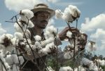 The Birth of a Nation - Aufstand zur Freiheit (3) | Kino und Filme | Artikeldienst Online